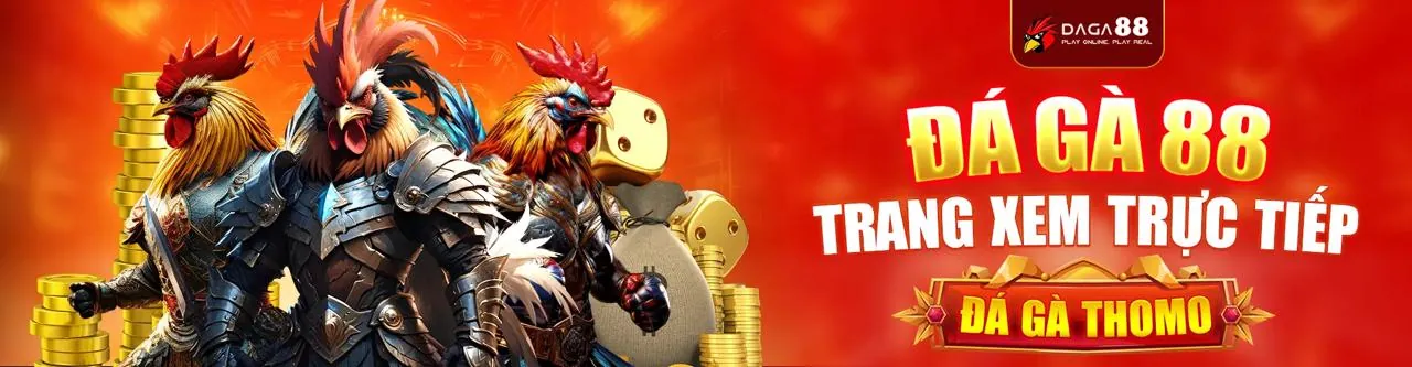 Chương trình hoàn trả thể thao hàng tuần của vn168 Code